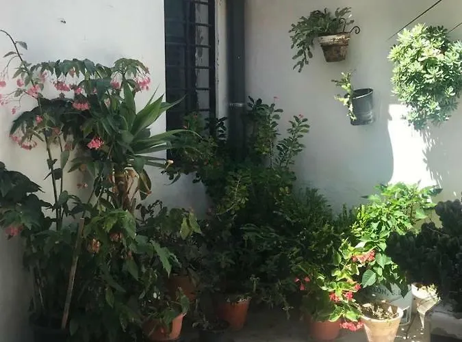 Mariniguez Apartament.