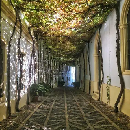 בית נופש Mariniguez Apartament. חרז