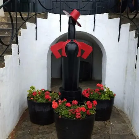 בית נופש Mariniguez Apartament. *