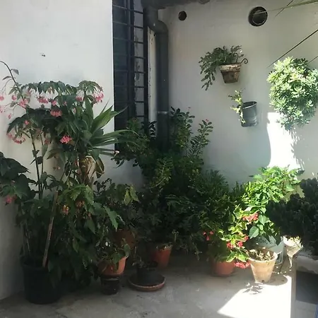 Mariniguez Apartament.